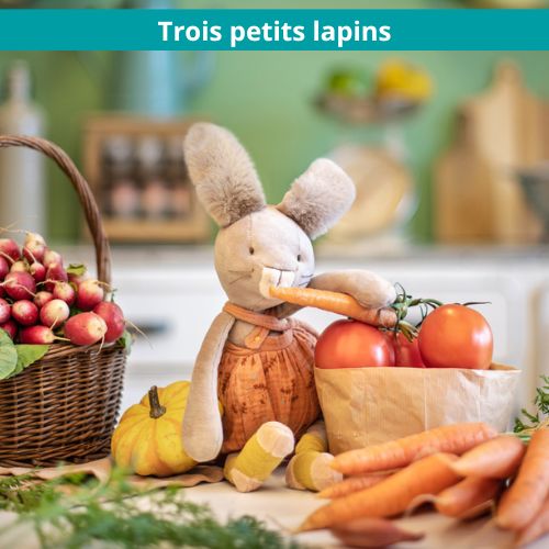 Collection Trois Petits Lapins Moulin Roty